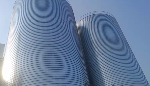 永德2座混凝土高架卷板仓